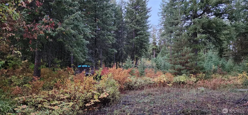 2518 A Bodie Mountain Road Colville, WA 99114