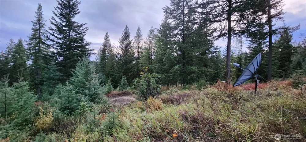 2518 A Bodie Mountain Road Colville, WA 99114