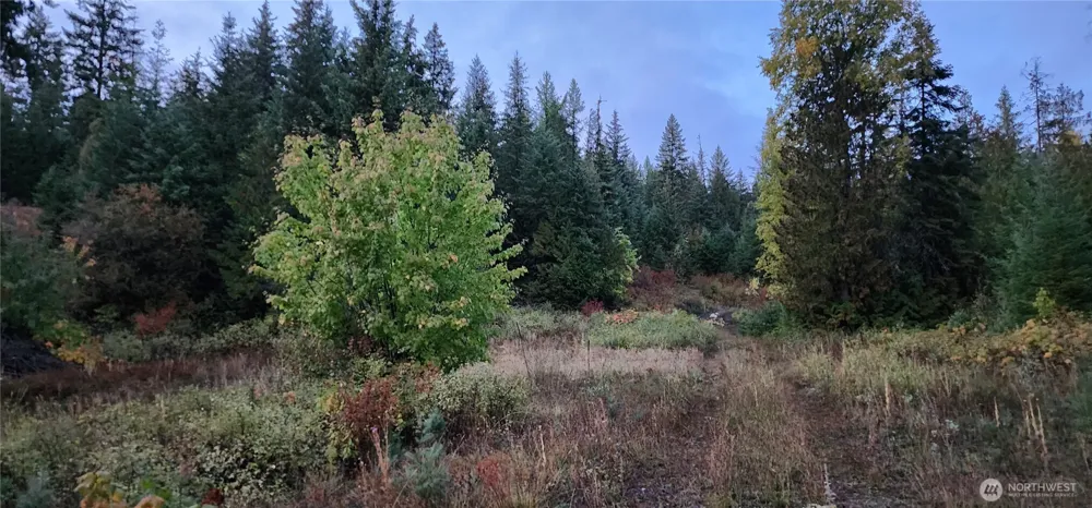 2518 A Bodie Mountain Road Colville, WA 99114