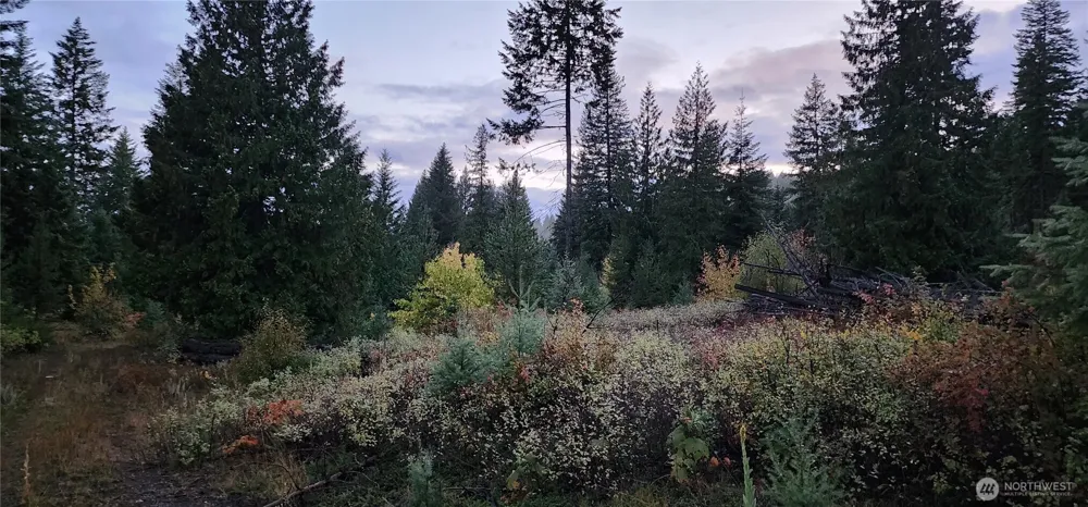 2518 A Bodie Mountain Road Colville, WA 99114