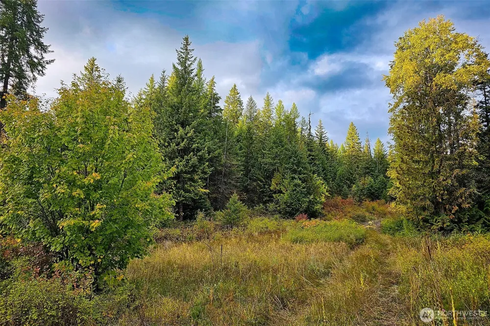 2518 A Bodie Mountain Road Colville, WA 99114