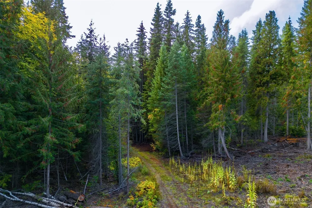 2518 A Bodie Mountain Road Colville, WA 99114