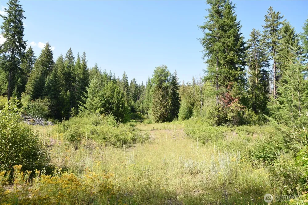 2518 A Bodie Mountain Road Colville, WA 99114