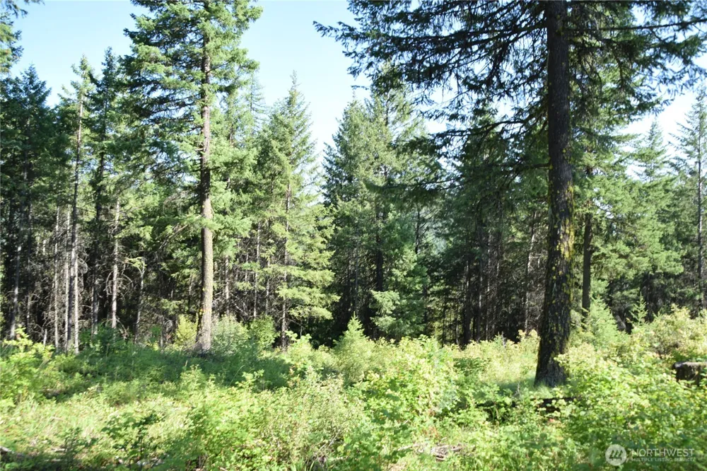 2518 A Bodie Mountain Road Colville, WA 99114