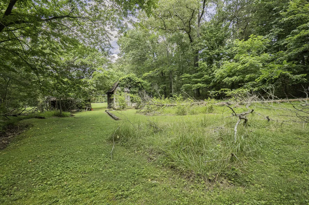 89 Chapman Drive Flintstone, GA 30725