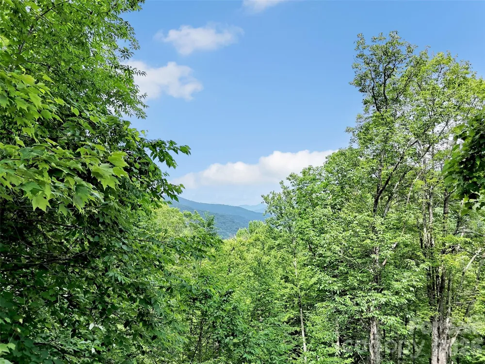 3214 Big Laurel Road Waynesville, NC 28785