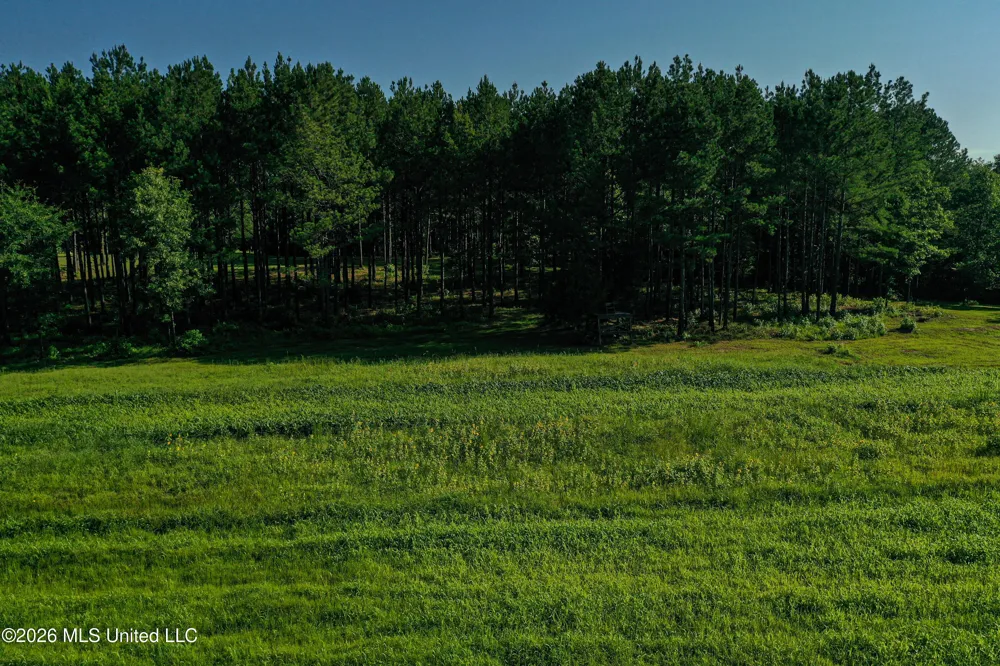 Mississippi 12 Starkville, MS 39759