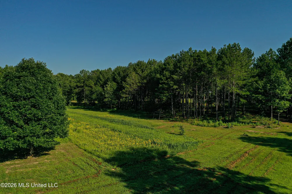 Mississippi 12 Starkville, MS 39759