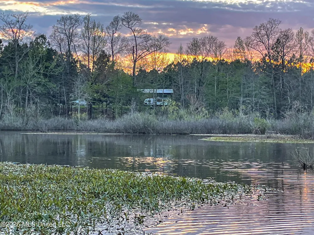 Mississippi 12 Starkville, MS 39759