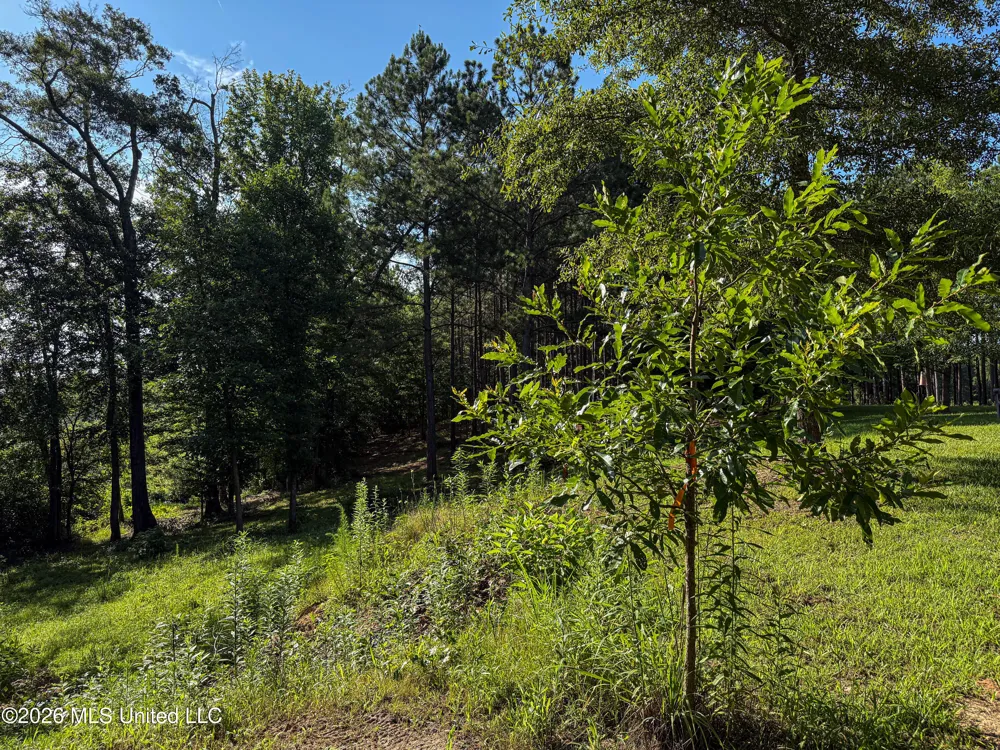 Mississippi 12 Starkville, MS 39759