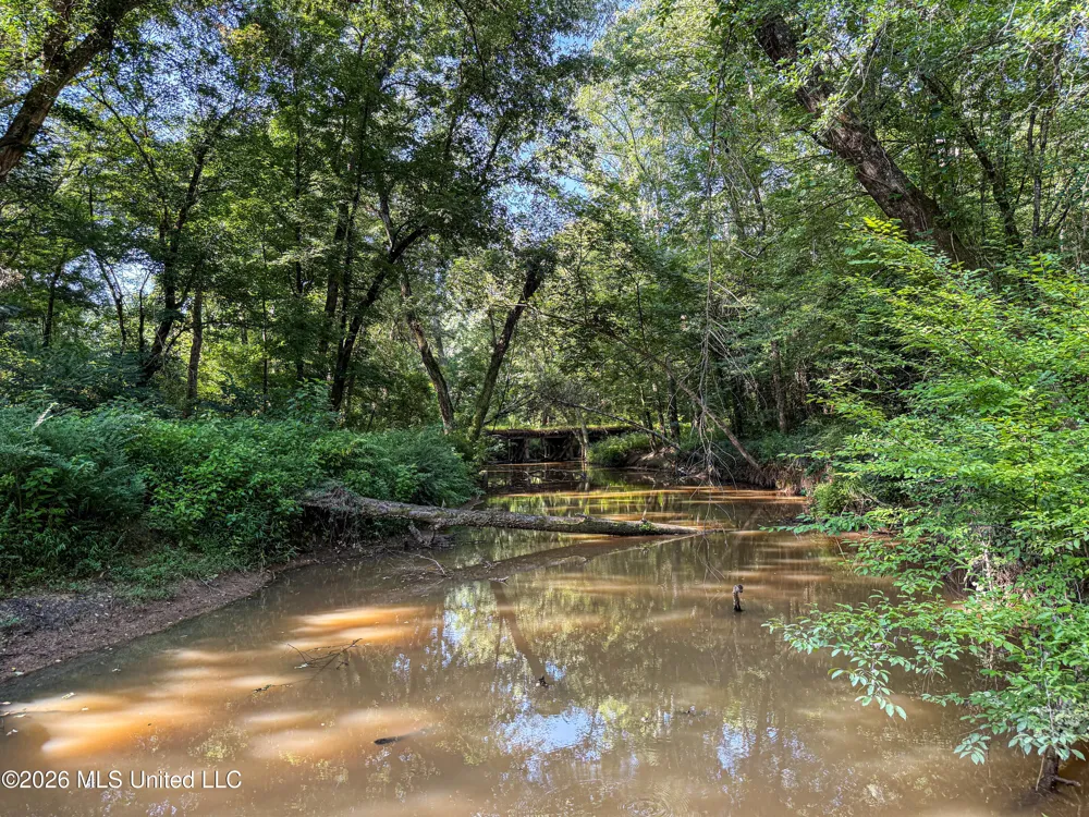 Mississippi 12 Starkville, MS 39759
