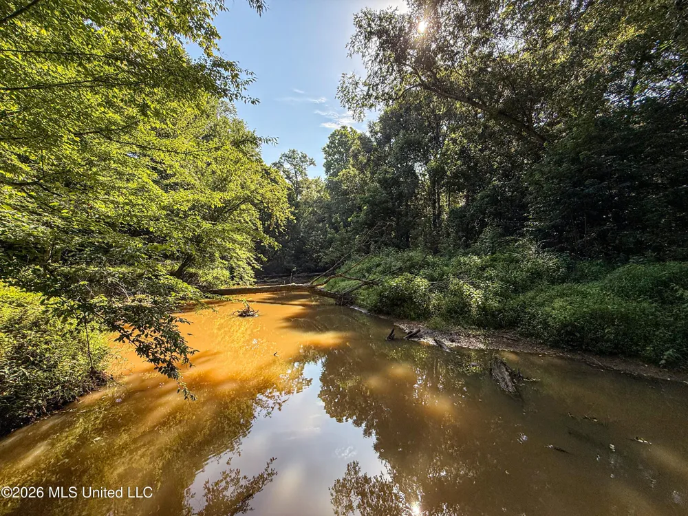 Mississippi 12 Starkville, MS 39759