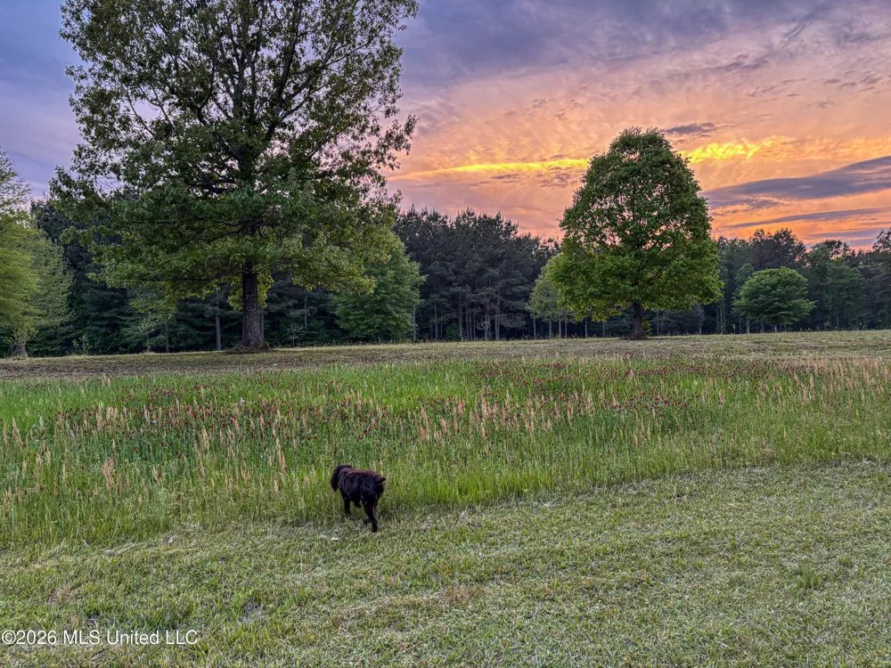 Mississippi 12 Starkville, MS 39759