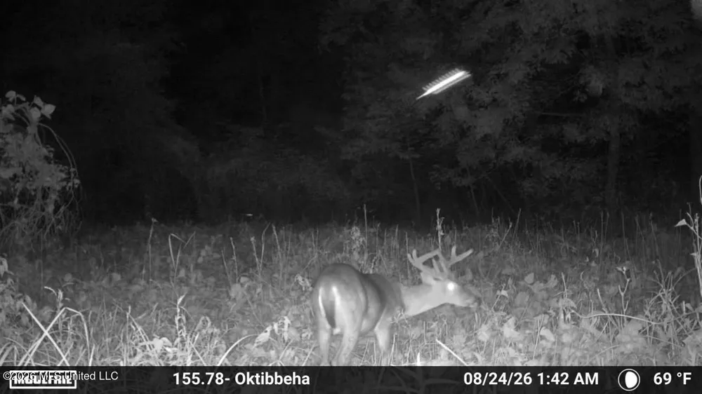Mississippi 12 Starkville, MS 39759