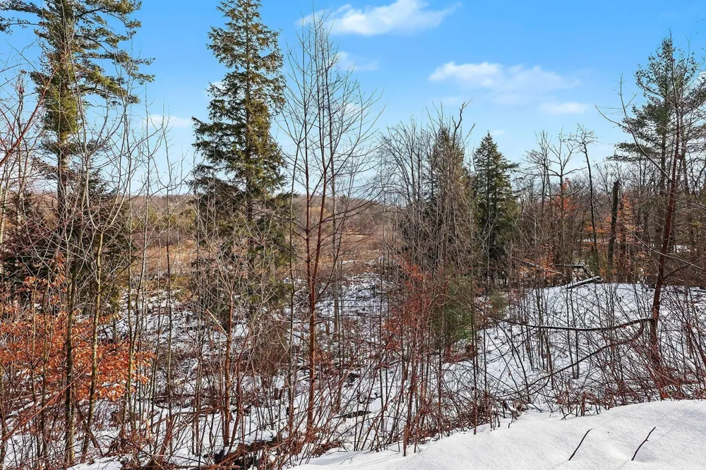 7364 Northern Drive Weare Township, MI 49449