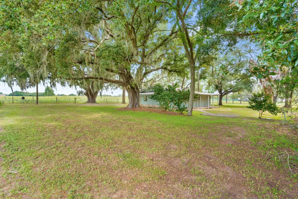 12616 THONOTOSASSA ROAD Thonotosassa, FL 33592