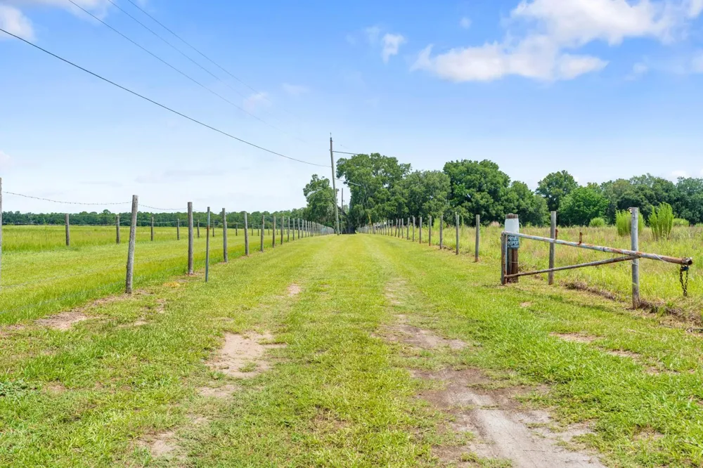 12616 THONOTOSASSA ROAD Thonotosassa, FL 33592