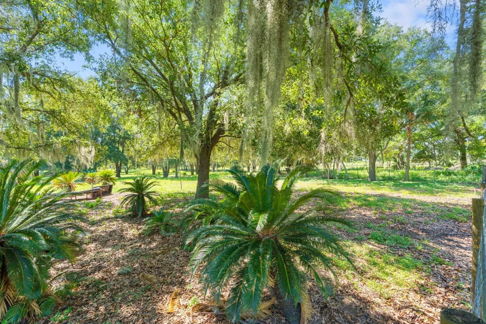 12616 THONOTOSASSA ROAD Thonotosassa, FL 33592