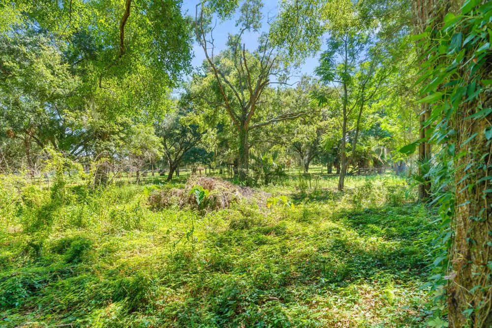 12616 THONOTOSASSA ROAD Thonotosassa, FL 33592