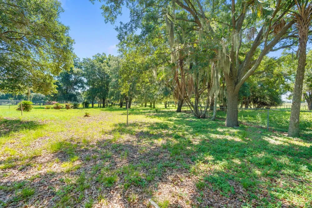 12616 THONOTOSASSA ROAD Thonotosassa, FL 33592