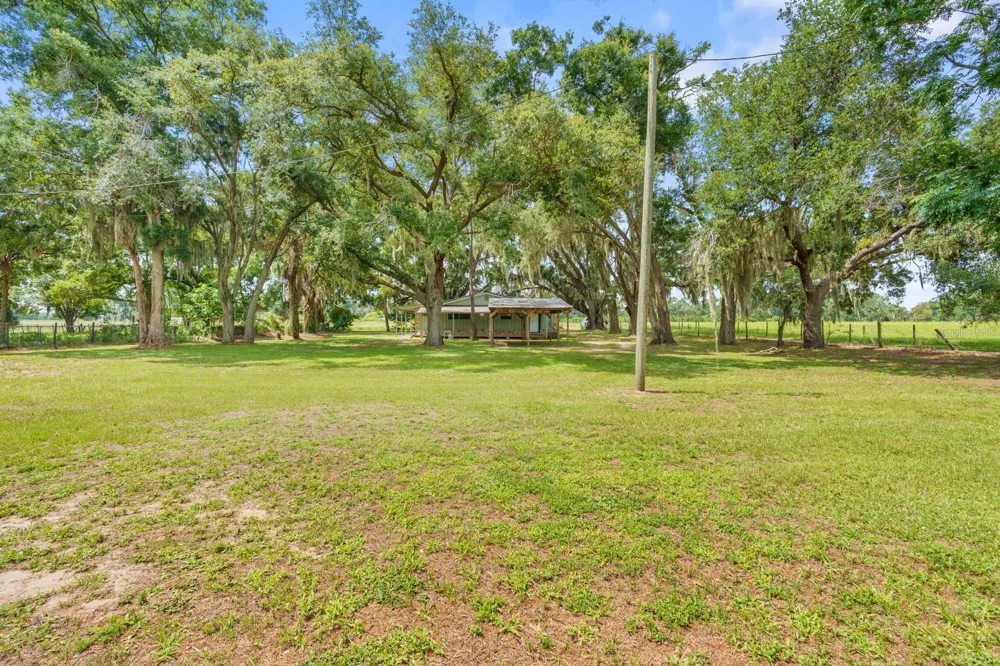 12616 THONOTOSASSA ROAD Thonotosassa, FL 33592