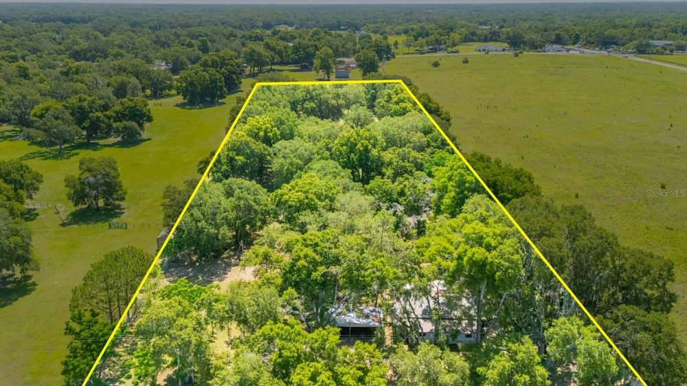 12616 THONOTOSASSA ROAD Thonotosassa, FL 33592