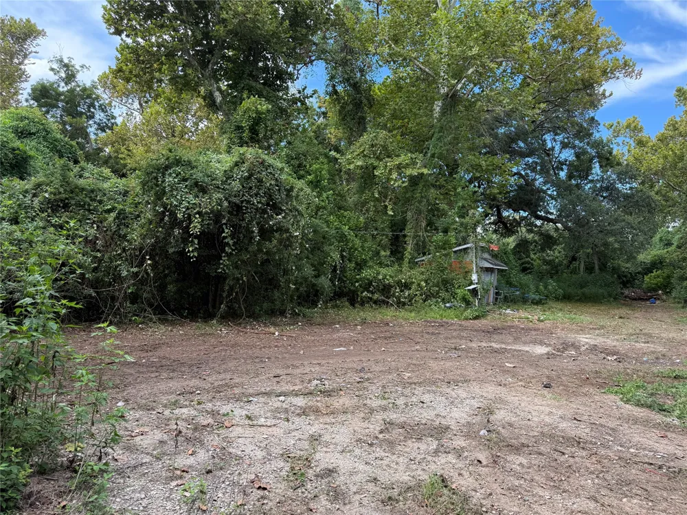 376 River Road Angleton, TX 77515