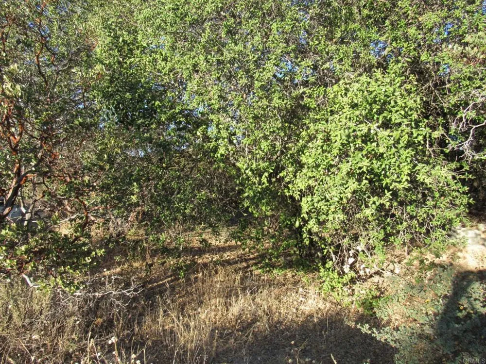 153 Old 80 and Hwy 94 Boulevard, CA 91905