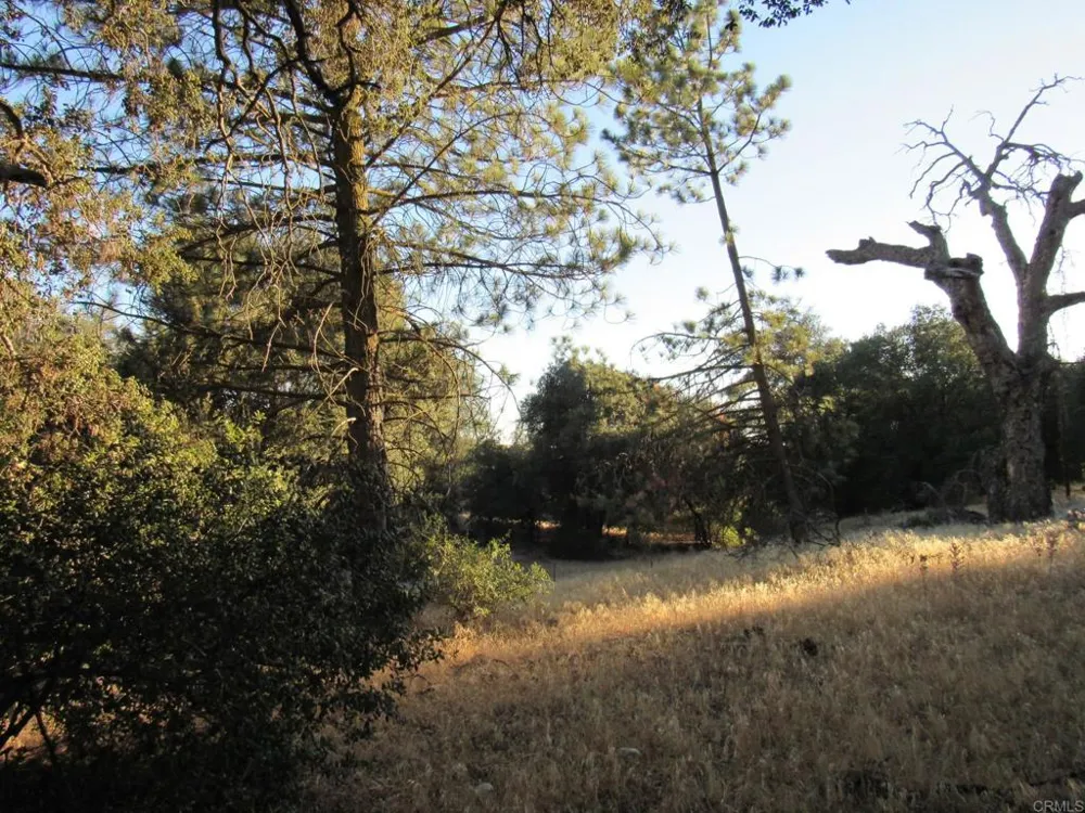153 Old 80 and Hwy 94 Boulevard, CA 91905