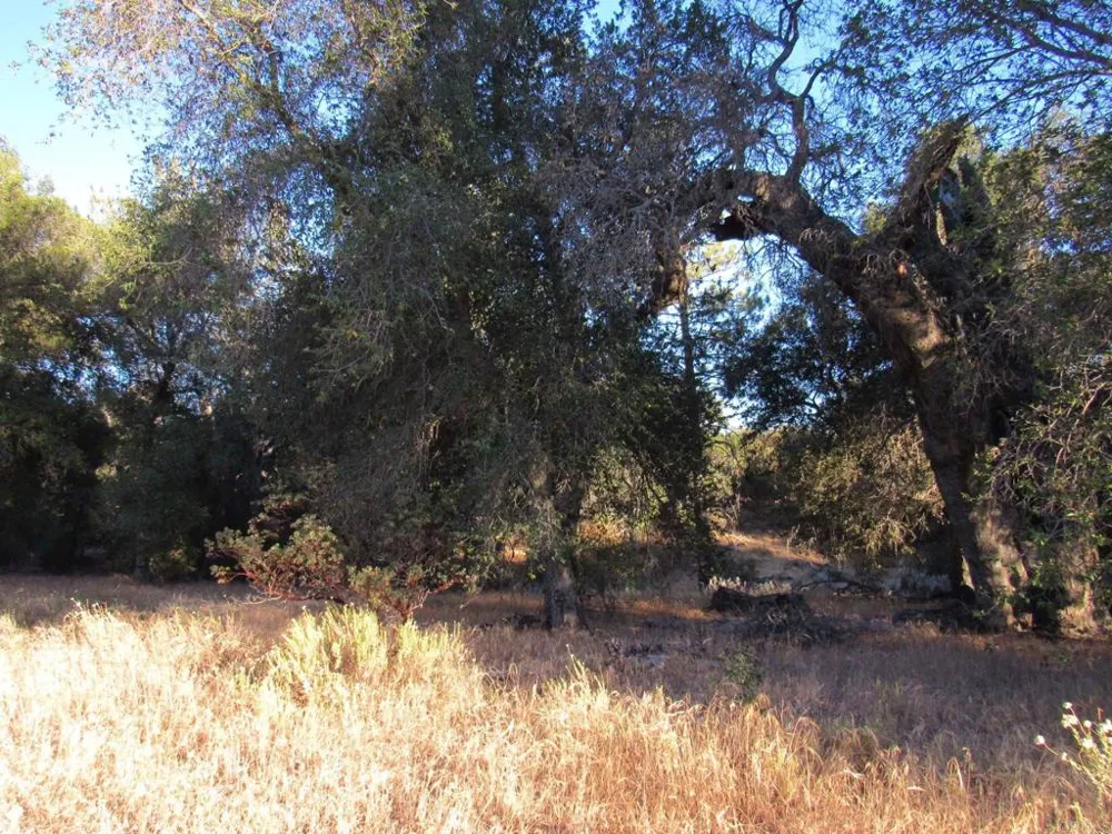 153 Old 80 and Hwy 94 Boulevard, CA 91905