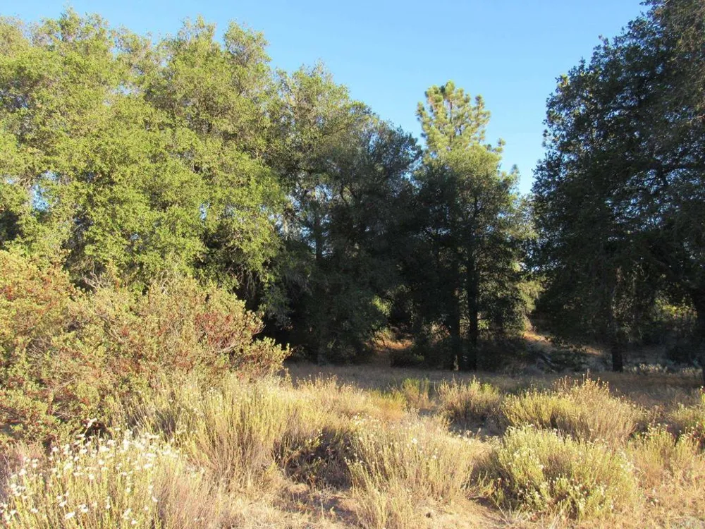 153 Old 80 and Hwy 94 Boulevard, CA 91905