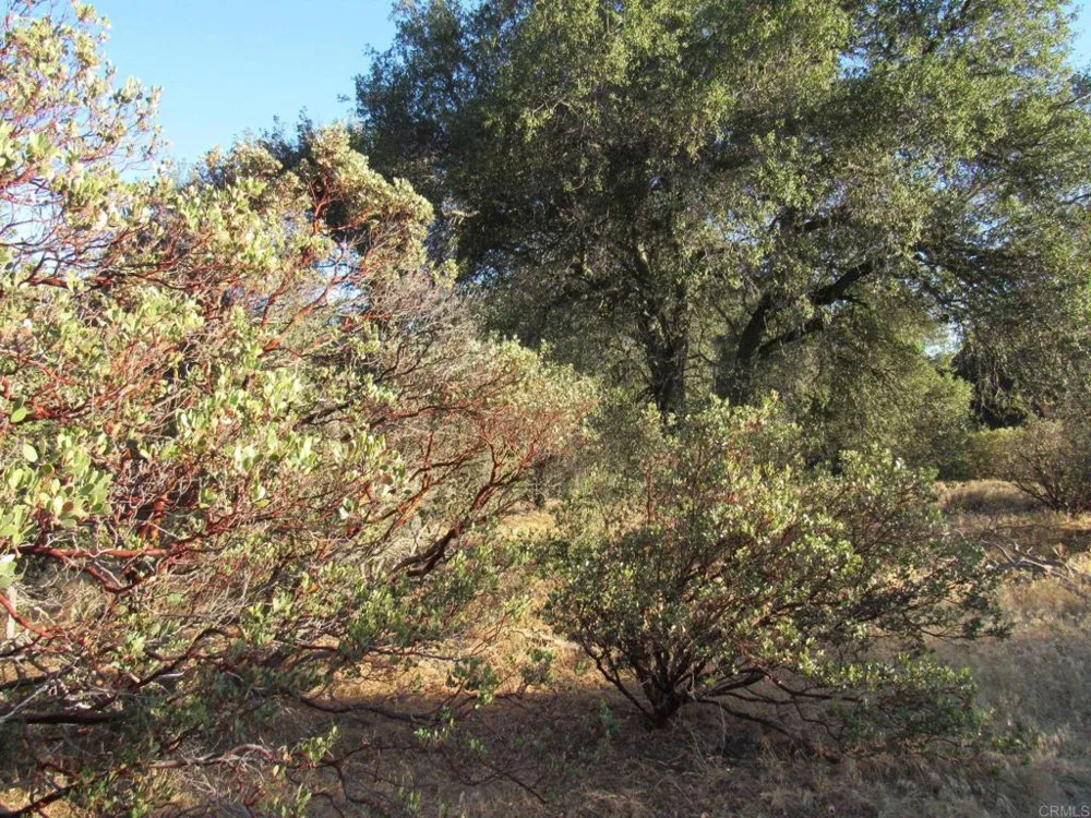 153 Old 80 and Hwy 94 Boulevard, CA 91905
