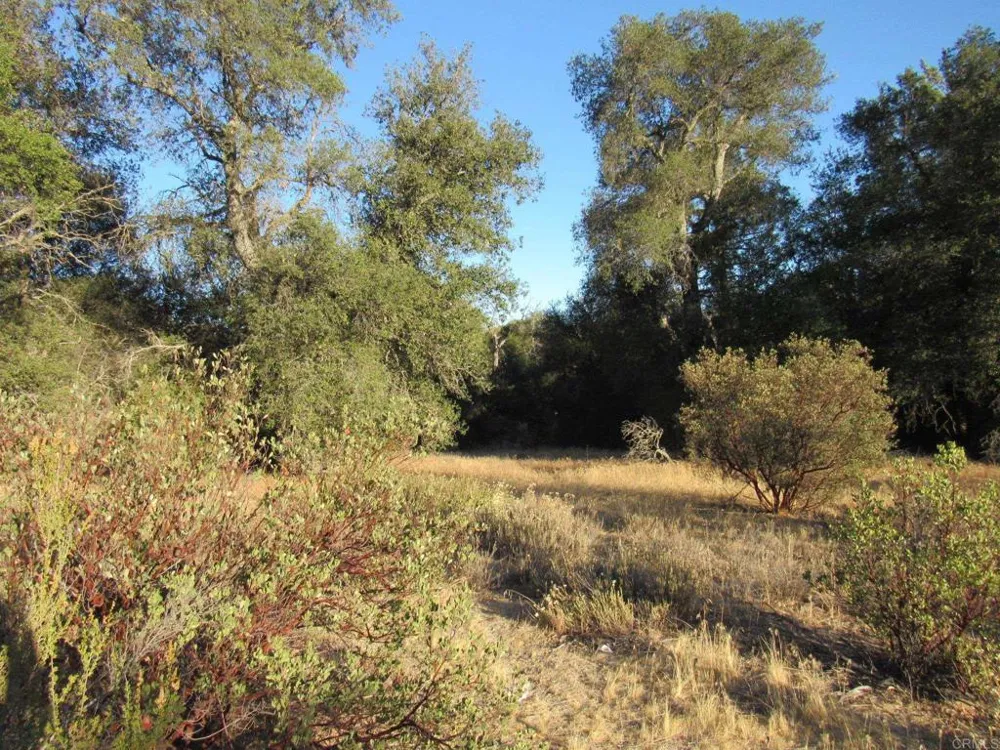 153 Old 80 and Hwy 94 Boulevard, CA 91905