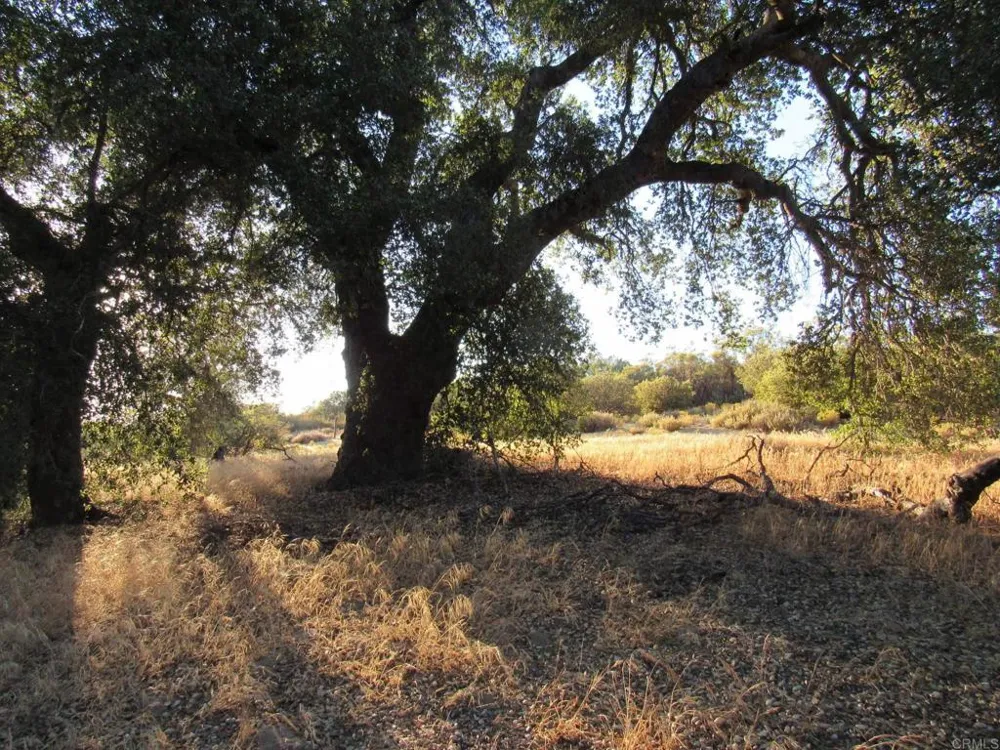 153 Old 80 and Hwy 94 Boulevard, CA 91905