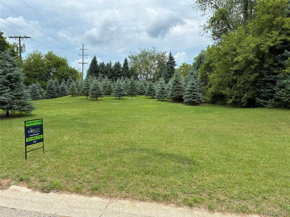 AMBER GLEN DRIVE Marion Township, MI 48843