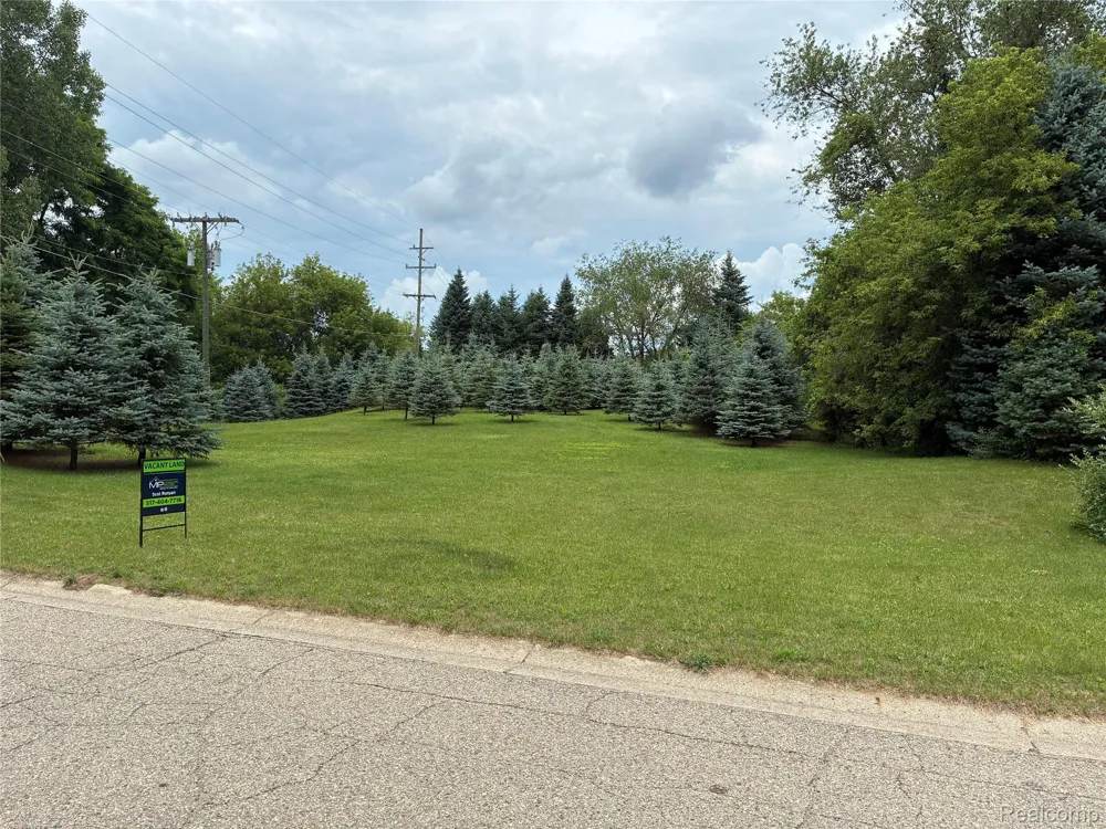 AMBER GLEN DRIVE Marion Township, MI 48843