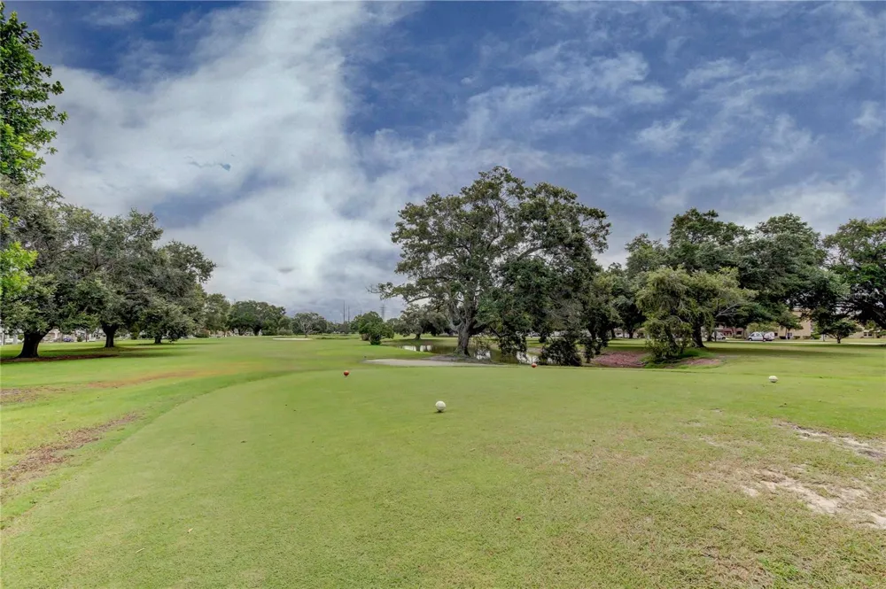 2430 FLORENTINE WAY #56 Clearwater, FL 33763
