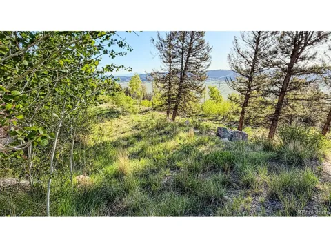 4924 Middle Fork Vis