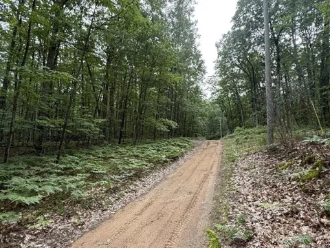 Beechwood Drive