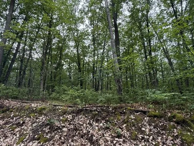 Beechwood Drive Lyon Township, MI 48653