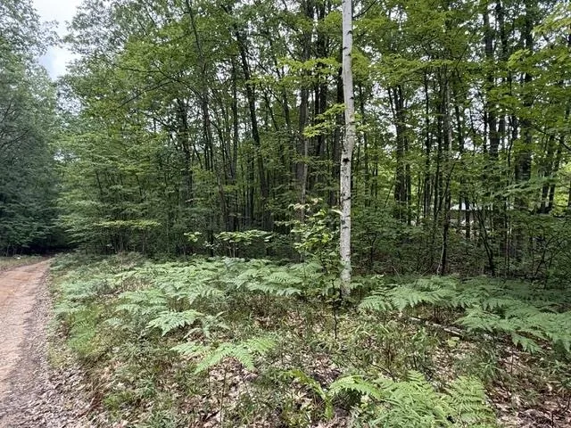 Beechwood Drive Lyon Township, MI 48653