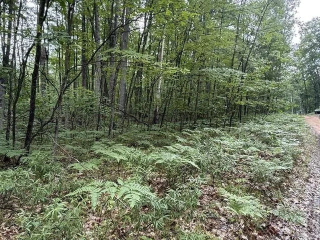 Beechwood Drive Lyon Township, MI 48653
