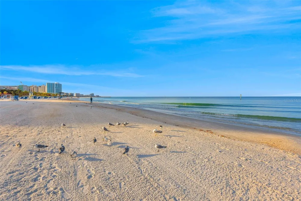 602 LIME AVENUE #101 Clearwater, FL 33756