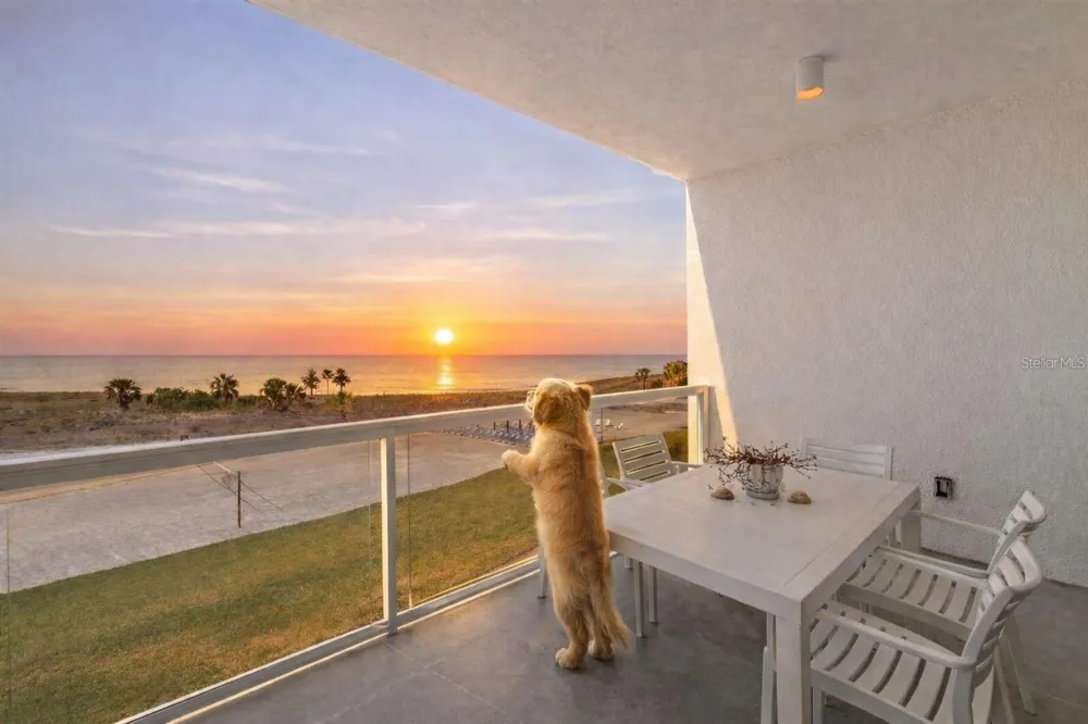 11500 GULF BOULEVARD #304 Treasure Island, FL 33706