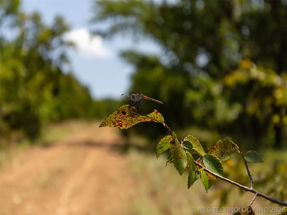 18 E 1147 ROAD Eufaula, OK 74426