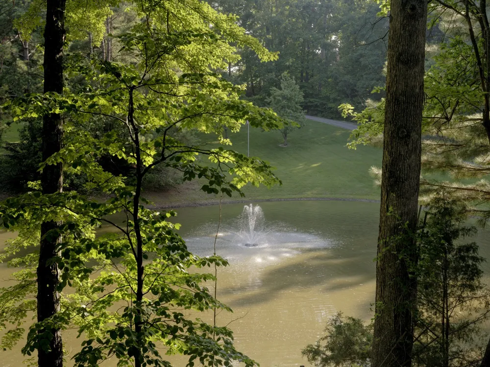 7348 Bradford Rd Primm Springs, TN 38476