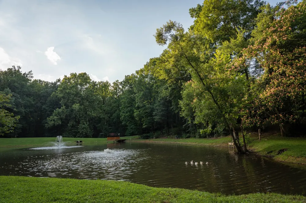 7348 Bradford Rd Primm Springs, TN 38476