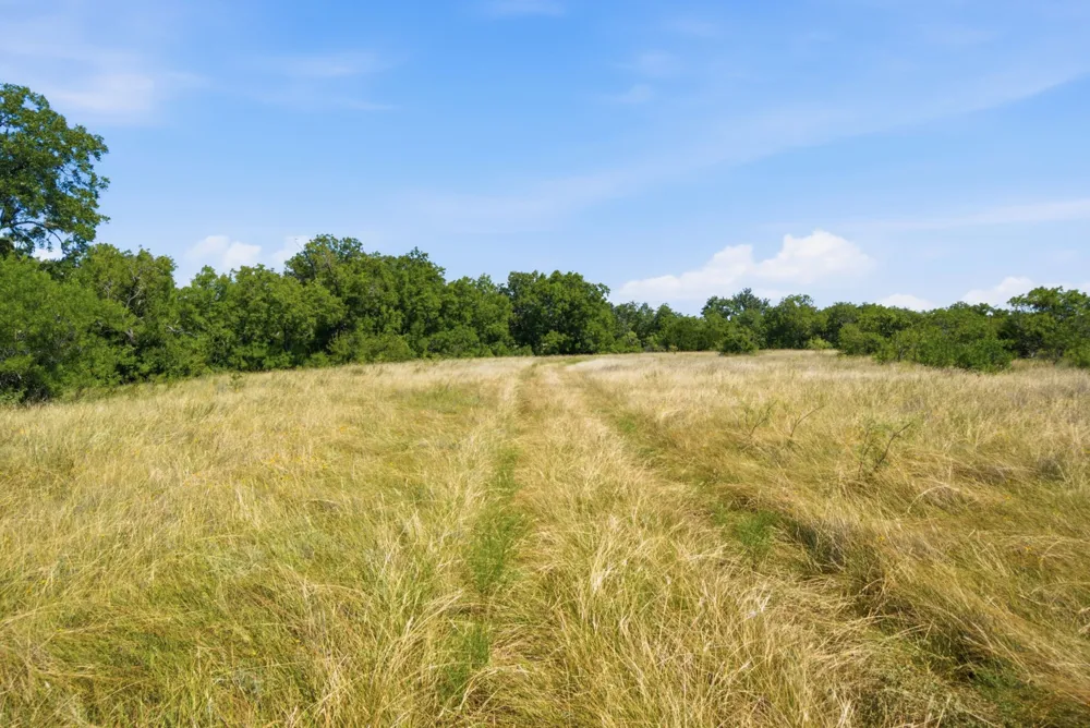 2975 Fm 1702 Hamilton, TX 76531