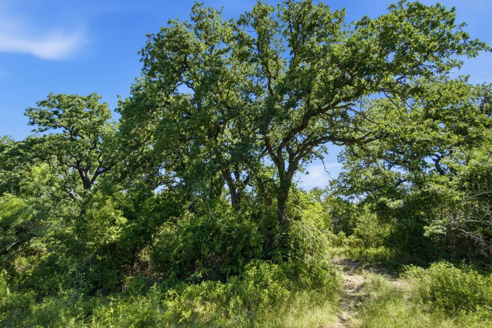 2975 Fm 1702 Hamilton, TX 76531