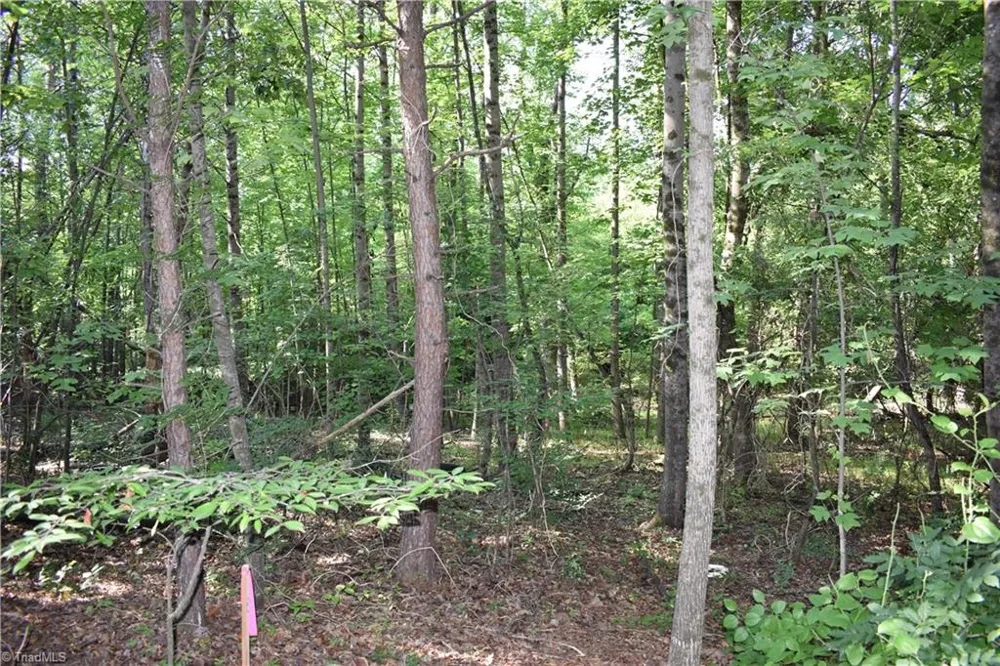 1380 Motor Road Winston-Salem, NC 27105